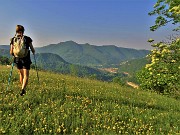 13 Prati in fiore con vista sulla conca di Zogno ed in Canto Alto